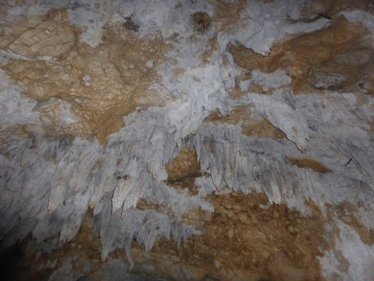 Stalactite formations in the Cave of the Serpent (fortunately the serpent wasn't home when we visited!)